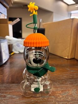 Starbucks New Glass Snoopy Cup