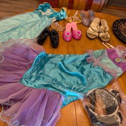 Princess Dresses And Accessories 