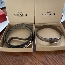 Coach Dog Leash And Collar Large