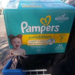 Box Of Pamper Swaddlers