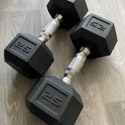 25lbs Dumbbells