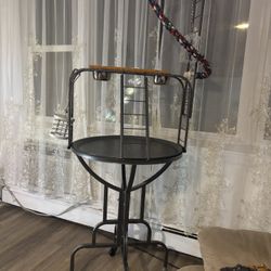 Bird parrot play stand