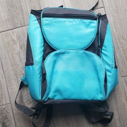 insulated backpack