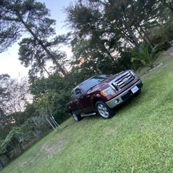 2009 Ford F-150