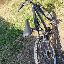 12 Speed