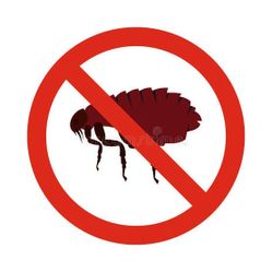 Flea prevention