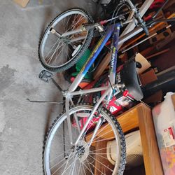 Roster Bike Mountain Sport And Good Conditions