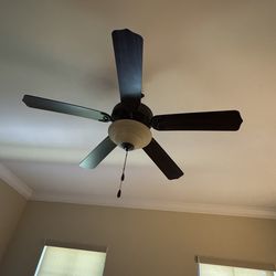 Ceiling Fans