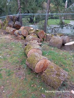Free wood