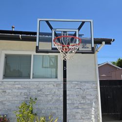 Lifetime Sharterproof Basketball Hoop 