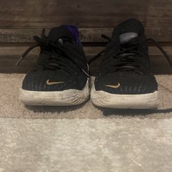 Lebron Shoes