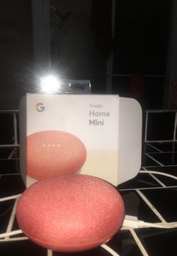 Google home mini (coral)