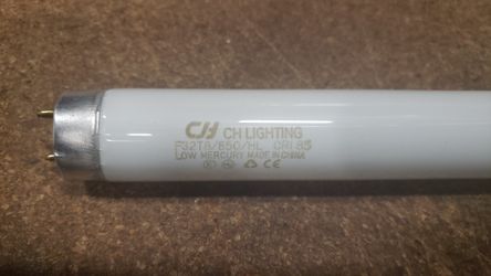 Fluorescent Light Tubes "T8"