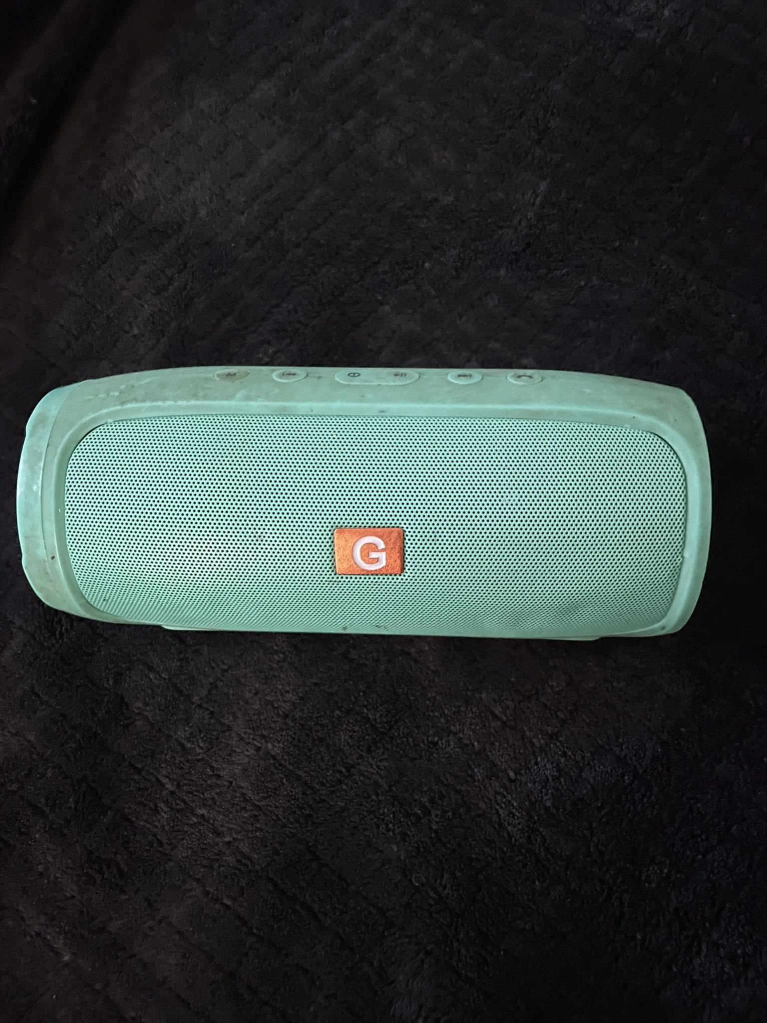 Loud Personal Speaker