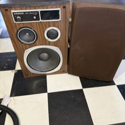 Speaker Set