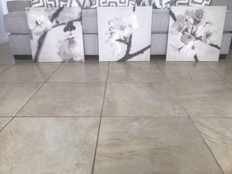 Cherry Blossom Canvas Decor Frames