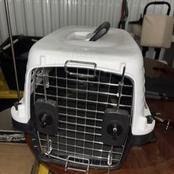 Petmate Pet Carrier 