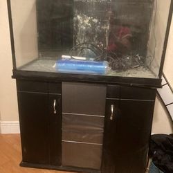 Salt Water Fish Tank Great Value