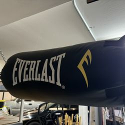 Everlast Punching Bag