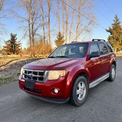 2011 FORD ESCAPE XLT 