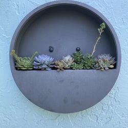 Succulents Arrangement