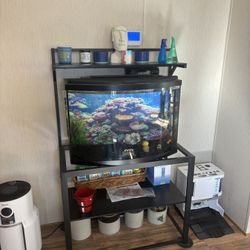 Fish Tank And Stand 