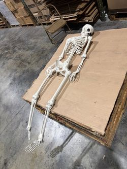 Halloween Skeleton 💀