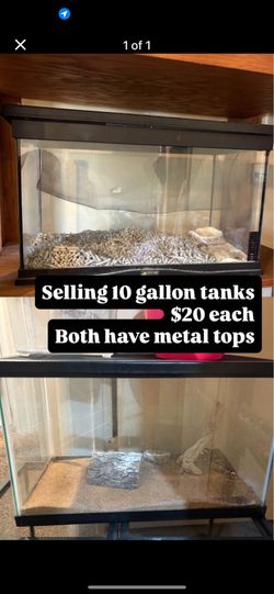 10gallon Tanks