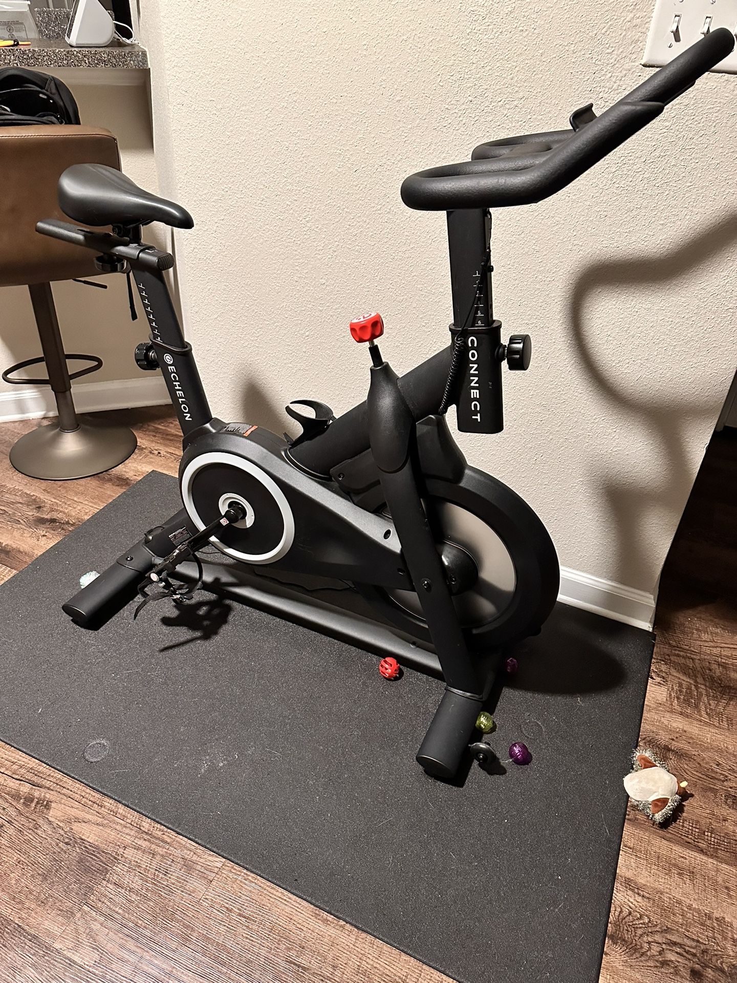 Echelon Bike