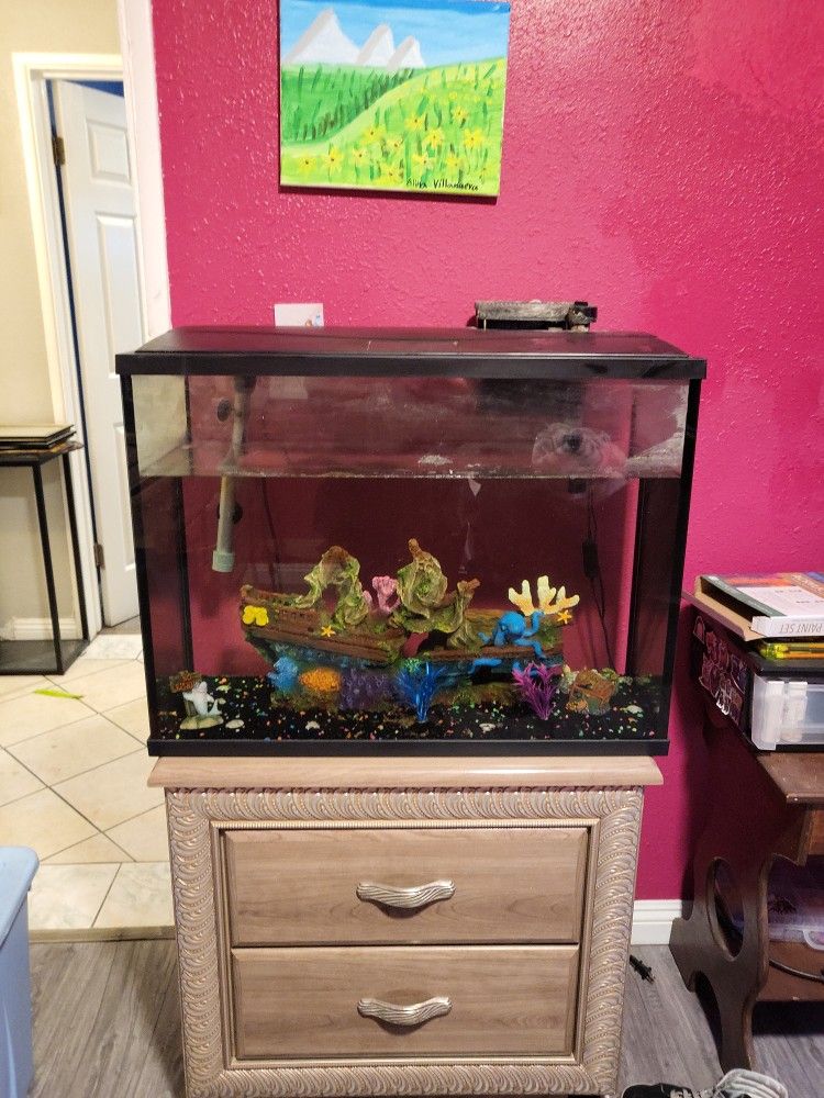 Fish Tank With Decors