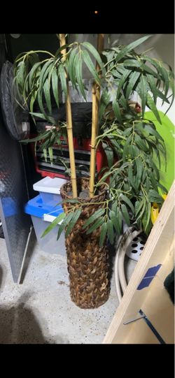 Large Artificial Tree in Woven Basket
