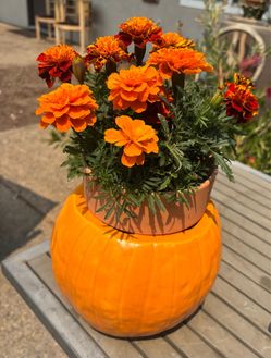 Orange Ceramic Pumpkin-Shaped Ceramic Planter