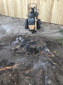 Stump Grinding