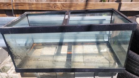 Fish Tank