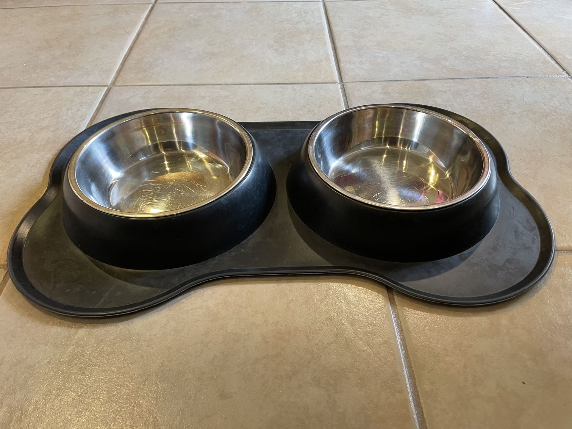 Dog food and water dish with mat