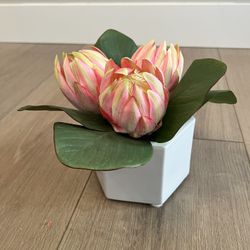 11” Wide Artificial Flower Succulent Plant  w/ White Ceramic Planter