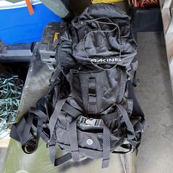 Da Kine poacher Backpack