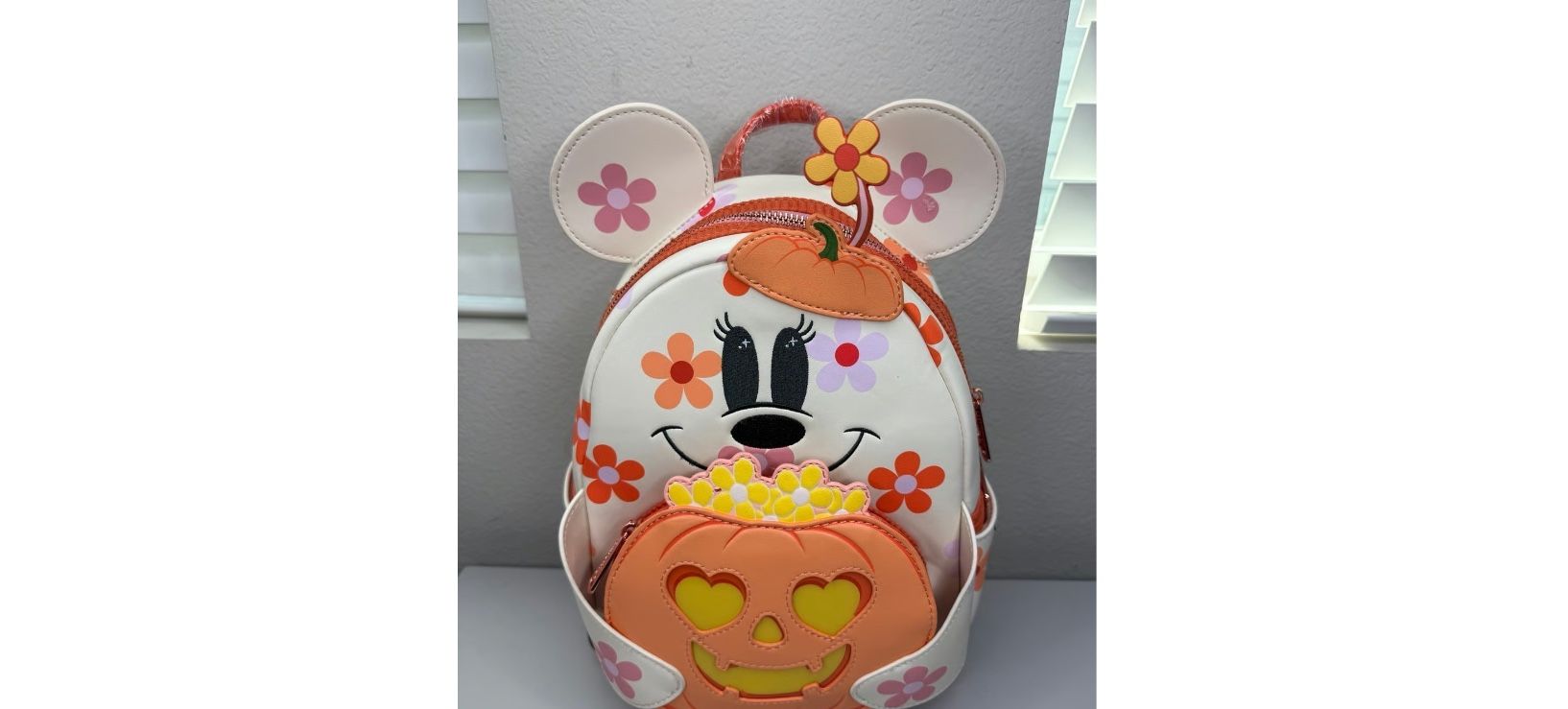 Floral Pumpkin Glow in the dark light up back pack