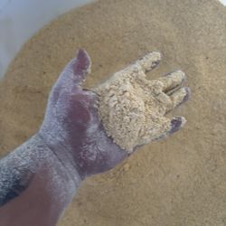 Ground Corn / Maiz Molido 