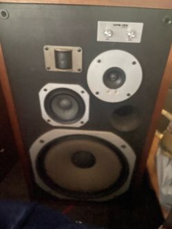 Pioneer