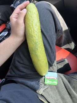 Viral Squeezy Pickle