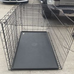 Dog Cage