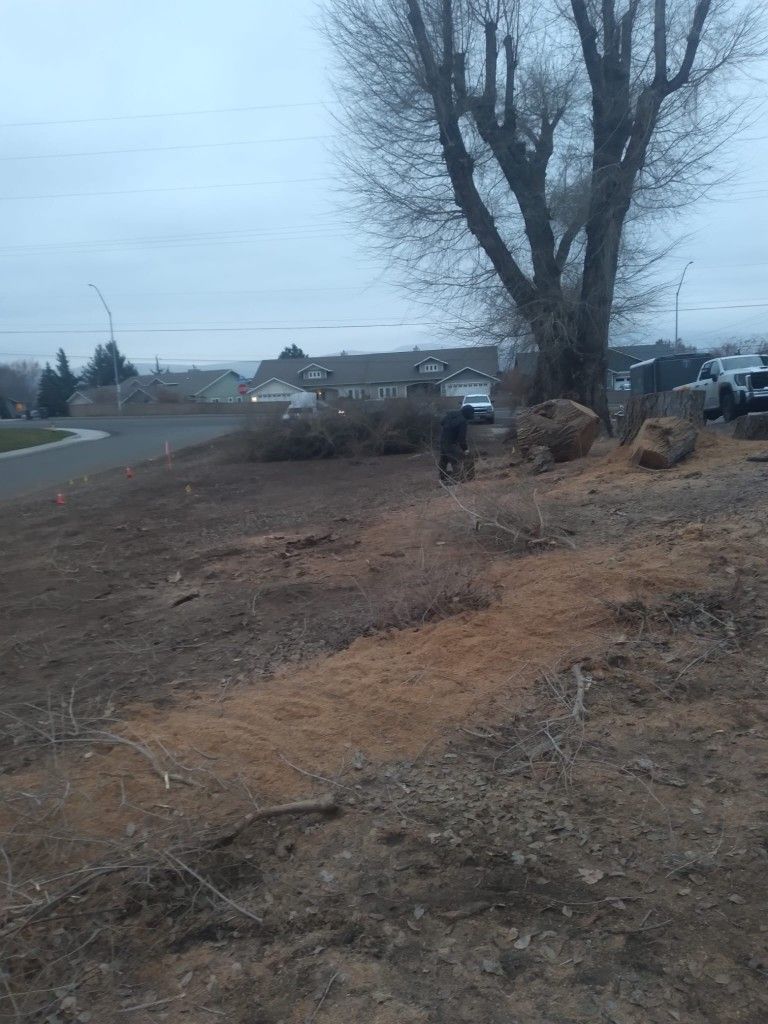 Tree Trimming And Stump Grinding