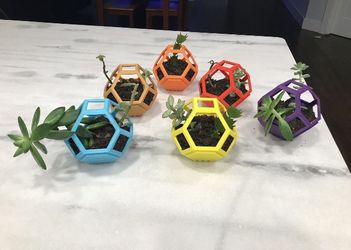 Plantygon Succulent Planters