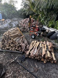 firewood for sale - 25 pieces for $20