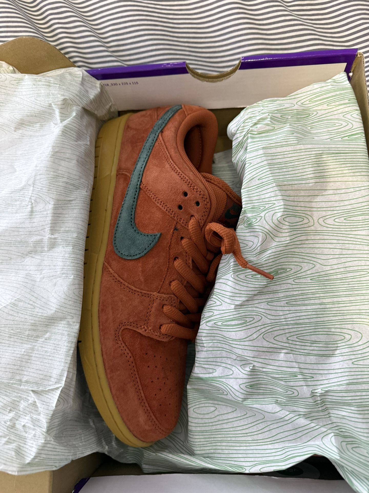 Nike Dunk SB Low ‘Burnt Sunrise’ Sz 10.5