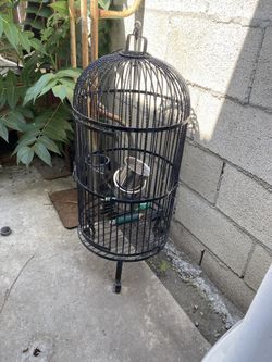 Bird cage