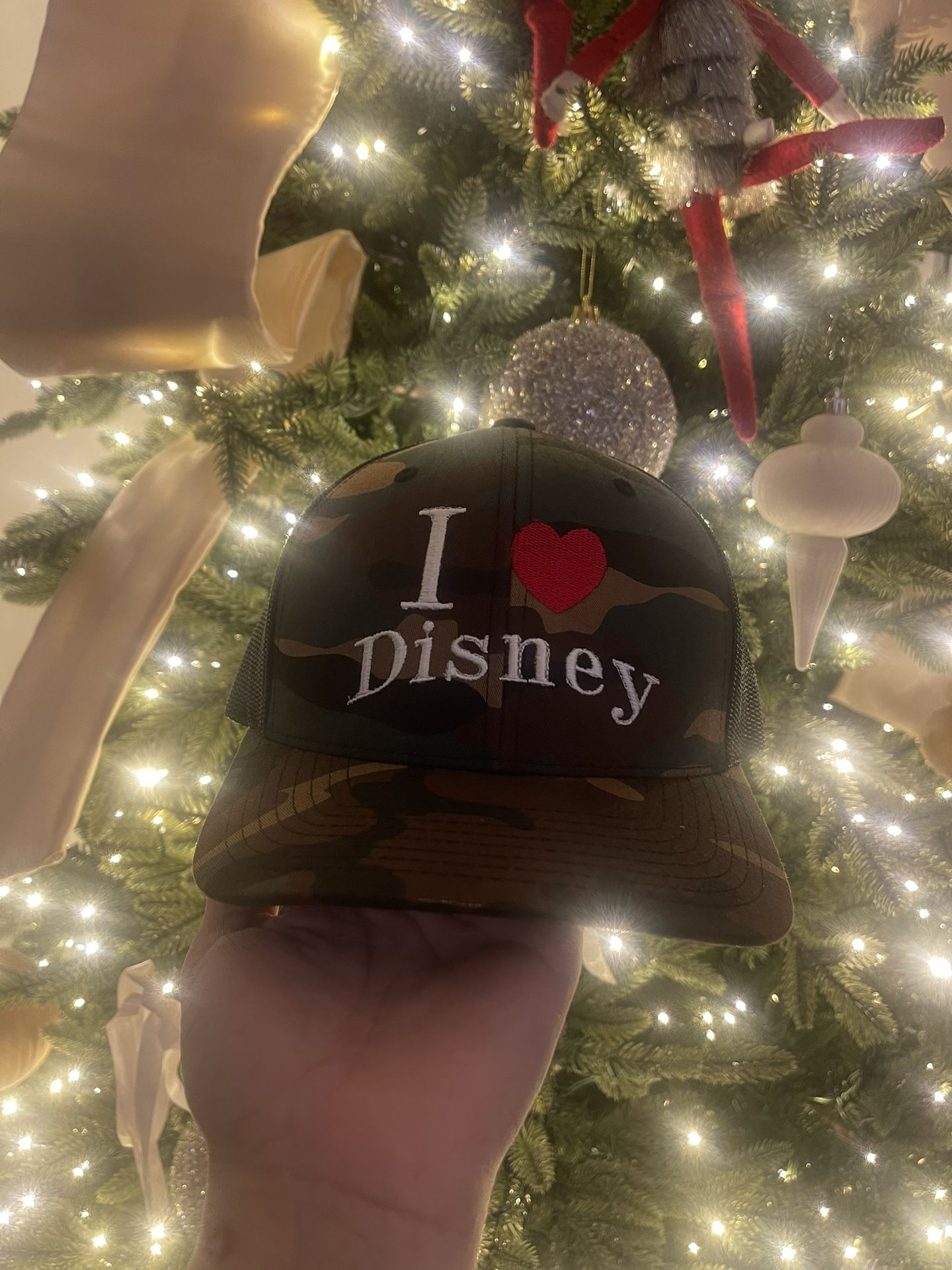 Disneyland