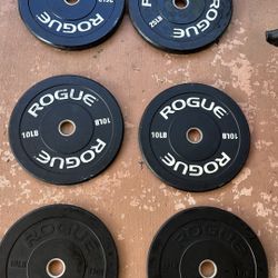 Rogue Ohio Barbell + Rogue 10s 25s 