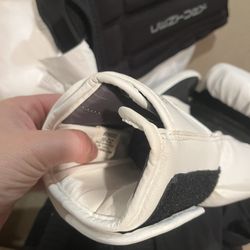 Kickboxing Gear Pro force Boxing Gloves